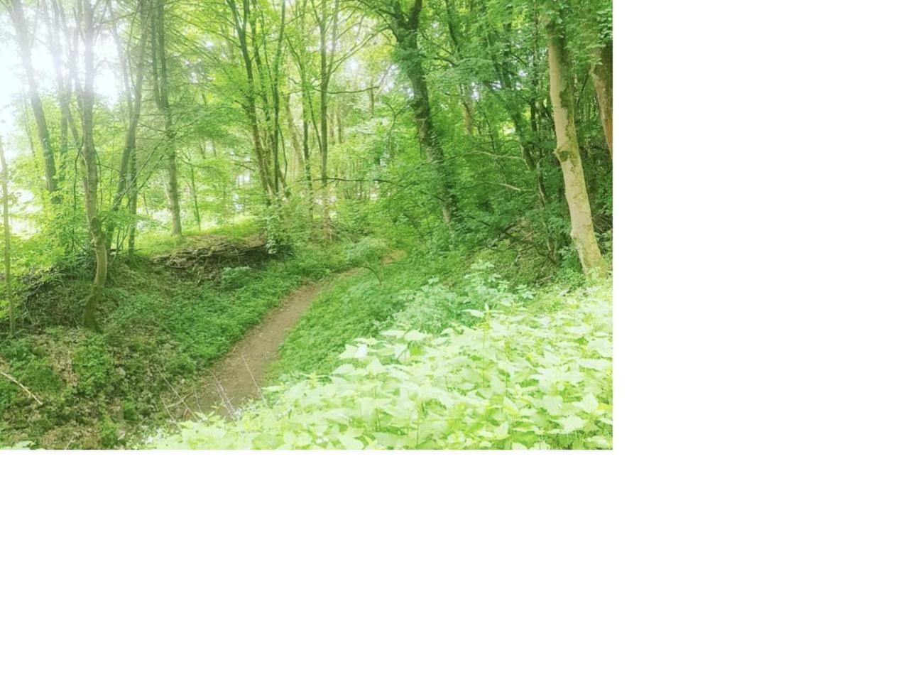 Feel Like Home - Metime2 Frielendorf Bagian luar foto